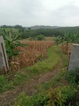 DIJUAL TANAH ZONA KUNING UNTUK PERUMAHAN/ GUDANG, WELERI KENDAL