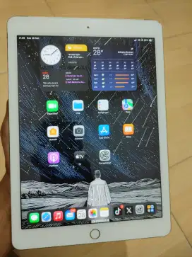 Ipad air 2 16gb wifi cellluler