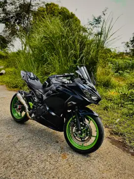 Kawasaki ninja 250 new
