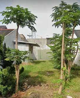 Barang Langka !! Tanah Singgasana Pradana