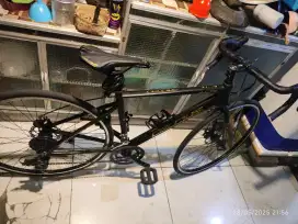 Sepeda Roadbike CELCIUS LUXE 700C Alloy 14 & 16 Speed Shimano Balap