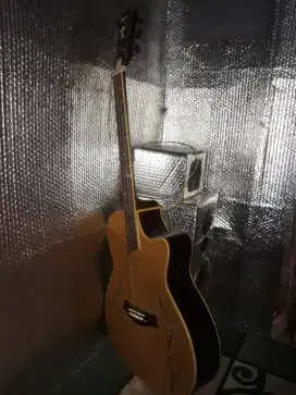 Jual gitar merk T5