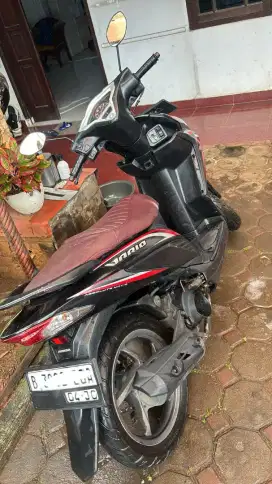 Vario fi 110 ( back 2015)