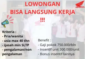 Lowongan kerja marketing (ada gaji pokok)