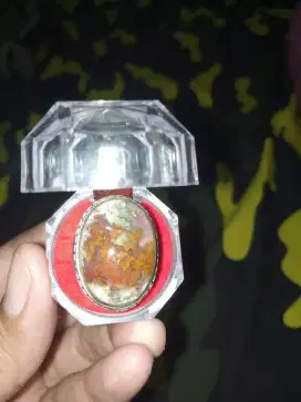 Batu akik Lumut Trenggalek