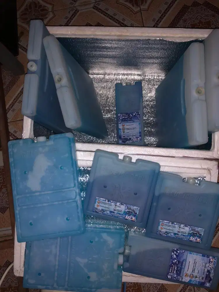 Ice pack all item 250