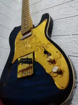 Fs gitar Grote thineline made china