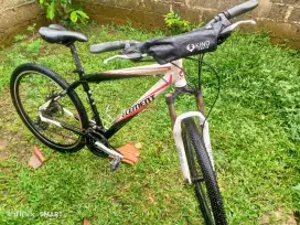 Sepeda orang dewasa