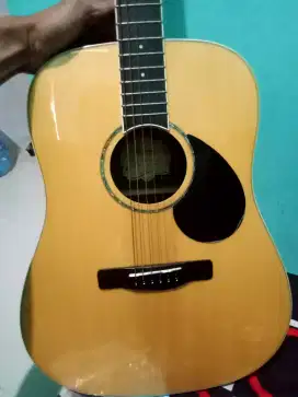 Gitar Samick edisi Greg Bennett design