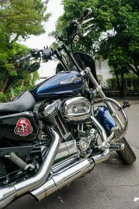 Harley davidson Sportster XL 1200