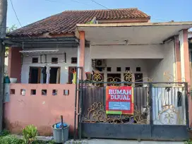 Rumah Dijual Ciomas Bogor