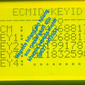 Program remote motor