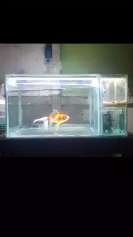 Aquarium Akuarium Filter Samping Fullset