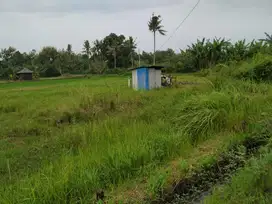 Tanah  kavling murah di negara jembrana