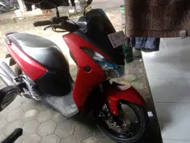 Di jual Lexi Thun 2020 orang pertama
