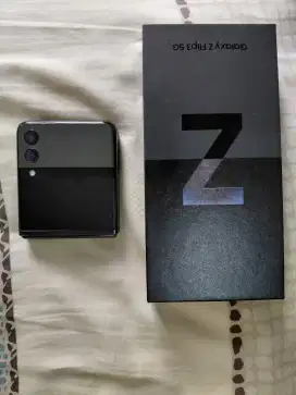 Flip 3 8/256 GB