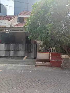 8. Beli Rumah Sekarang! GGL 1,5 Lantai, Cocok untuk Keluarga Muda