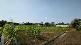 Dijual BU banget Tanah Hook dalam perumahan  Tambun Utara  bekasi