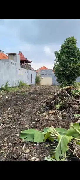 dijual tanah kepaon pemogan cocok buat rumah atau kos