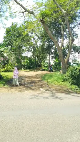 dijual tanah di ciloa padalarang