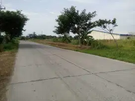 Tanah Industri di Onggorawe Sayung kab Demak 200mm dr Pantura