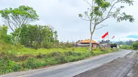 Tanah 3.700m² / Tanah di Kintamani, Bali