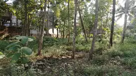 Tanah Dijual Murah di Jogja, pas untuk investasi, Kos, Dekat UNY Wates