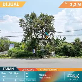 Tanah nol jalan raya gatot subroto lumajang