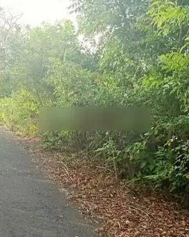 Jual atau Sewa tanah super view laut di jalan pandawa lokasi strategis