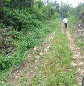 jual tanah murah di Lebak Banten