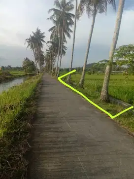 Tanah Sawah Tepi Jalan Cor  View Persawahan Dan Pegunungan Di Sleman