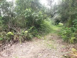 Tanah 20x30 SHM  jl kesadaran Parit Indah Pekanbaru
