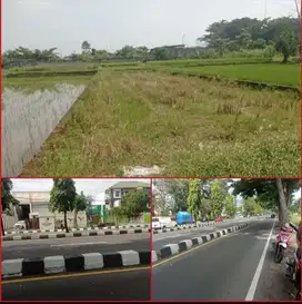 JUAL TANAH JALAN RINGROAD BARAT TRIHANGGO GAMPING SLEMAN