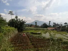 JUAL CEPAT TANAH STEAREGIS CIMAUNG BANDUNG SELATAN