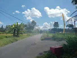 View Merapi dan Sawah, Tanah Dekat Masjid Suciati Jalan Gito Gati