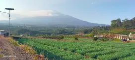 Dijual Lahan Zona Kuning View Bagus Dekat Alun Alun Kota Batu