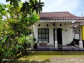 Rumah Paviliun Cantik Dekat Kampus UGM Yk