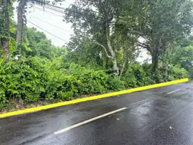 1209012L Tanah di Jl Belimbing Sari Utama Ungasan Menuju Savaya Beach