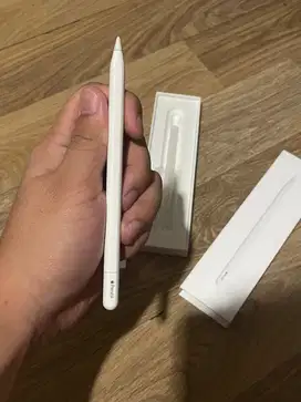 Apple Pencil USB C