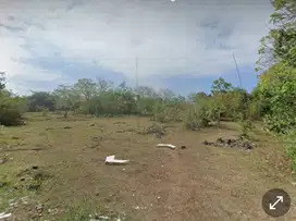 DISEWAKAN TANAH 4 HEKTAR (TANPA PERANTARA) ZONA PEMUKIMAN