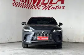 Lexus RX 350 H AT 2023 Abu abu