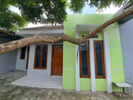 Di kontrakan Rumah dekat Kampus ISI jalan Paris
