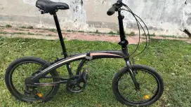 Jual Seli exotic 20 inch