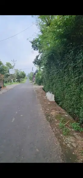 Jual Cepat Tanah utk Kebun, Peternakan & Peternakan Kalisidi Ungaran