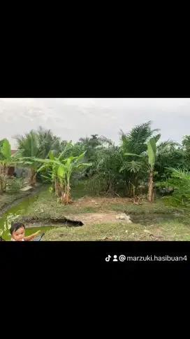 Jual tanah cepat butuh modal usaha