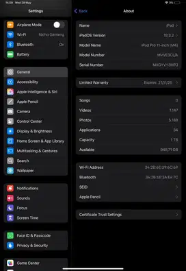 Apple Ipad pro M4 11 2024 WIFI only 1TB
