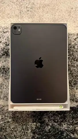 Apple Ipad pro M4 11 2024 WIFI only 1TB