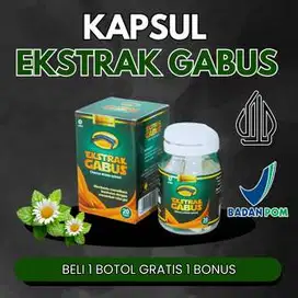Paket 1BTL - Kapsul Ekstra Ikan Gabus Original - Obat Luka Diabetes