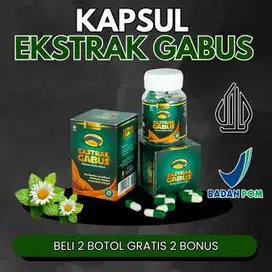 Paket 2BTL - Kapsul Ekstra Ikan Gabus Original - Obat Luka Diabes