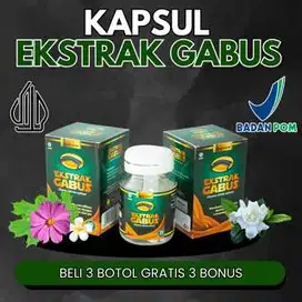 Paket 3BTL - Kapsul Ekstra Ikan Gabus Original - Obat Luka Diabetes